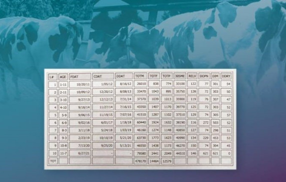 A GENEX újabb sikere!