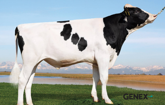 A GENEX új Robot Indexet vezet be!