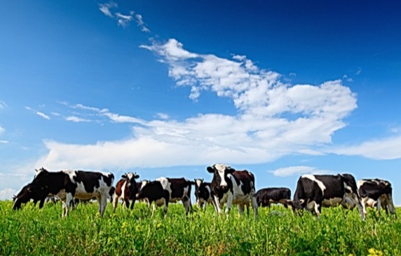 Nyári kihívások a termelésben