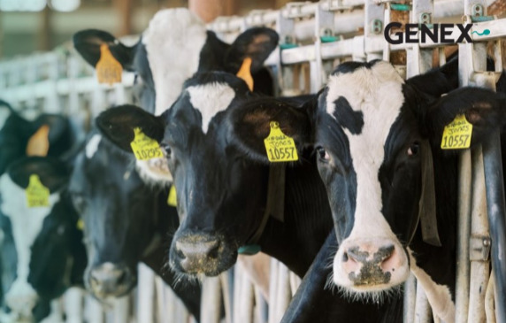 2025. Április: BÁZISVÁLTÁS 